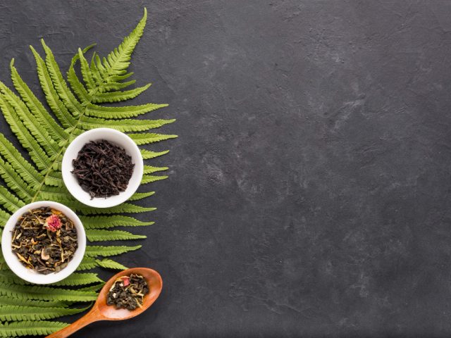 Stop Living With Pain: Visit the Best Ayurvedic Clinic in Nanded